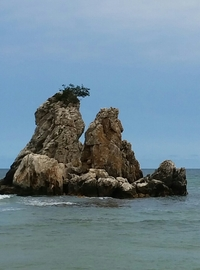 섬사진 (1).png